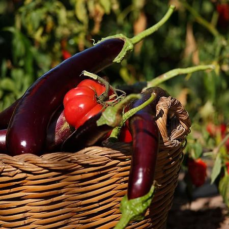 Les Quimeres فالسيت الغرفة الصورة